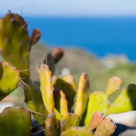 Zagara Garden Spectacular Sea View In