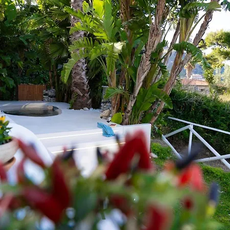 Zagara Garden Spectacular Sea View In Appartamento *